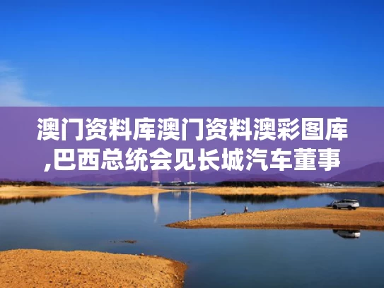 澳门资料库澳门资料澳彩图库,巴西总统会见长城汽车董事长魏建军