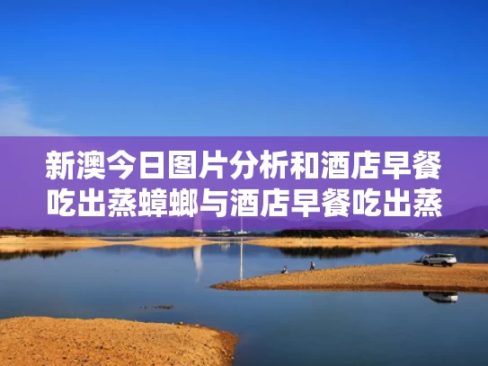 新澳今日图片分析和酒店早餐吃出蒸蟑螂与酒店早餐吃出蒸蟑螂怎么办