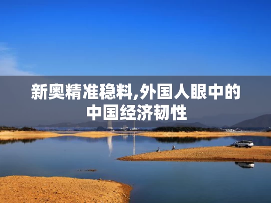 新奥精准稳料,外国人眼中的中国经济韧性