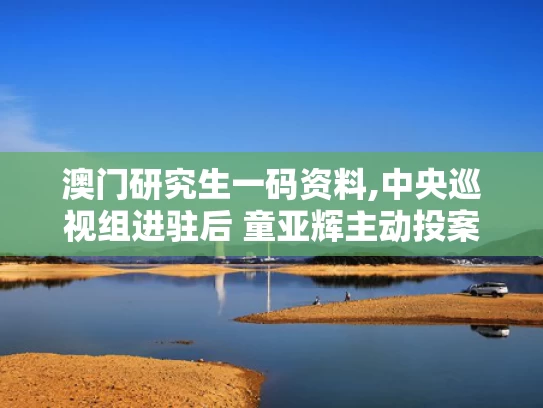 澳门研究生一码资料,中央巡视组进驻后 童亚辉主动投案