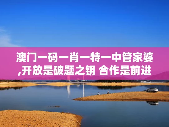 澳门一码一肖一特一中管家婆,开放是破题之钥 合作是前进之道