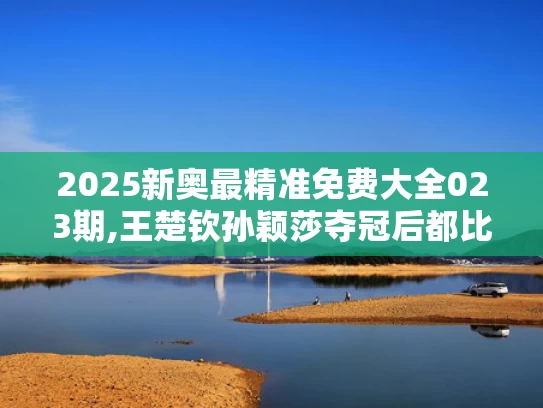 2025新奥最精准免费大全023期,王楚钦孙颖莎夺冠后都比了3