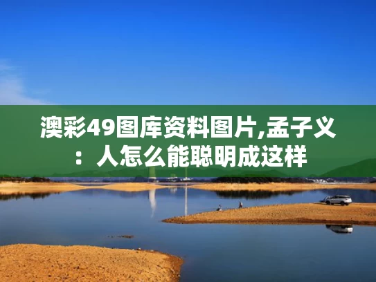 澳彩49图库资料图片,孟子义：人怎么能聪明成这样