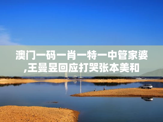 澳门一码一肖一特一中管家婆,王曼昱回应打哭张本美和