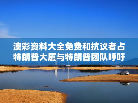 澳彩资料大全免费	和抗议者占特朗普大厦与特朗普团队呼吁支持者准备抗疫