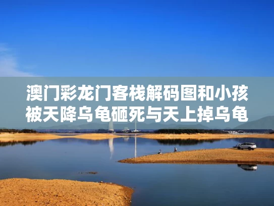 澳门彩龙门客栈解码图	和小孩被天降乌龟砸死与天上掉乌龟砸死人