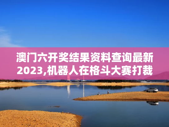 澳门六开奖结果资料查询最新2023,机器人在格斗大赛打裁判
