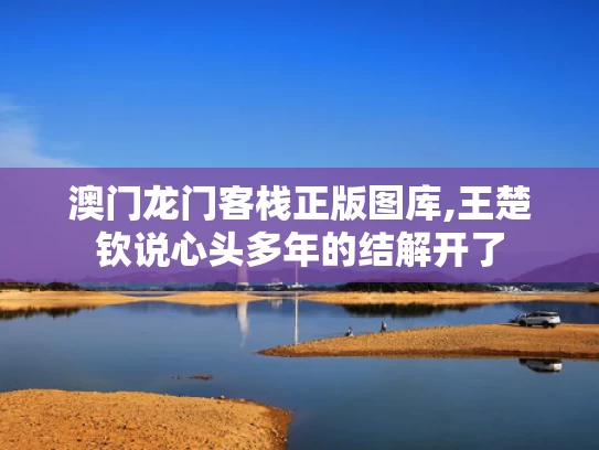 澳门龙门客栈正版图库,王楚钦说心头多年的结解开了