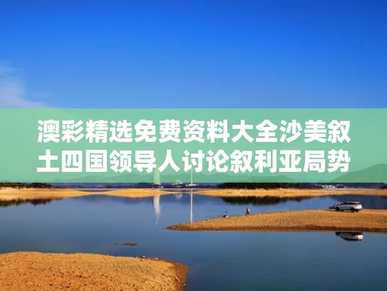 澳彩精选免费资料大全	沙美叙土四国领导人讨论叙利亚局势