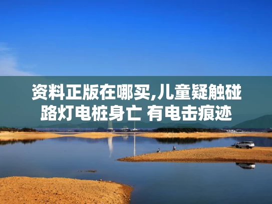 资料正版在哪买,儿童疑触碰路灯电桩身亡 有电击痕迹