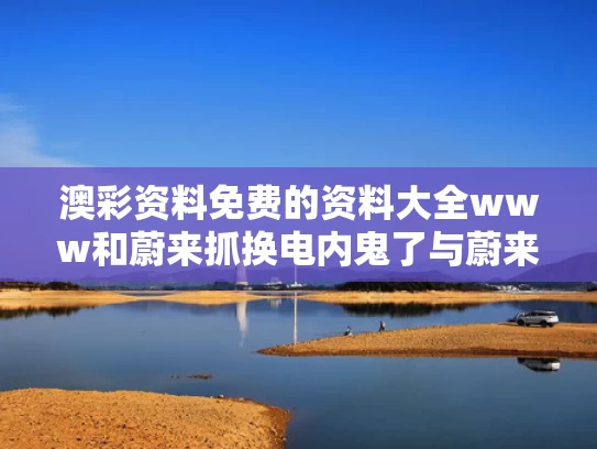 澳彩资料免费的资料大全www	和蔚来抓换电内鬼了与蔚来换电站2020年