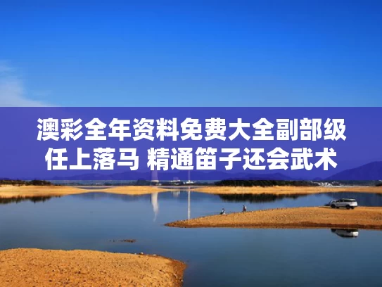 澳彩全年资料免费大全	副部级任上落马 精通笛子还会武术