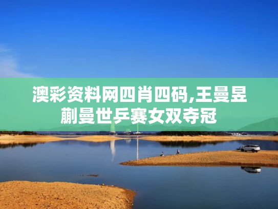 澳彩资料网四肖四码,王曼昱蒯曼世乒赛女双夺冠