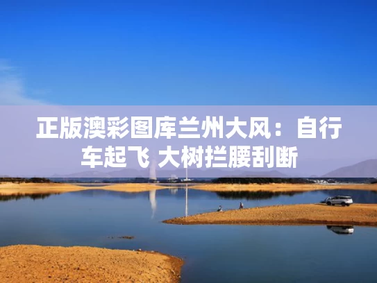 正版澳彩图库	兰州大风：自行车起飞 大树拦腰刮断