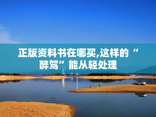 正版资料书在哪买,这样的“醉驾”能从轻处理