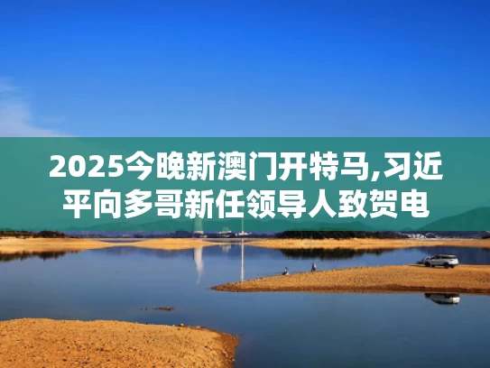 2025今晚新澳门开特马,习近平向多哥新任领导人致贺电