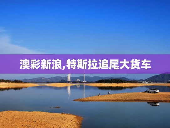 澳彩新浪,特斯拉追尾大货车