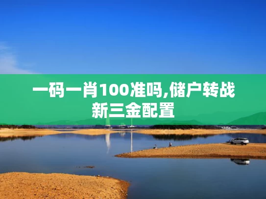 一码一肖100准吗,储户转战新三金配置