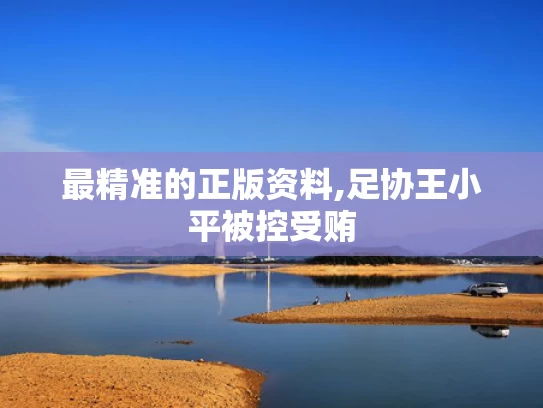 最精准的正版资料,足协王小平被控受贿