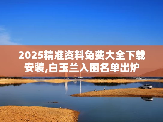 2025精准资料免费大全下载安装,白玉兰入围名单出炉