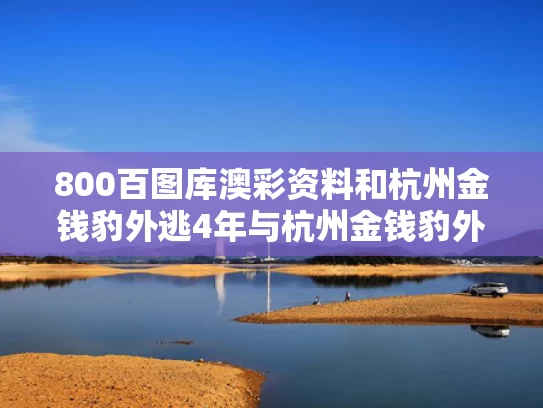 800百图库澳彩资料	和杭州金钱豹外逃4年与杭州金钱豹外逃视频
