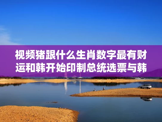 视频猪跟什么生肖数字最有财运和韩开始印制总统选票与韩总统选举