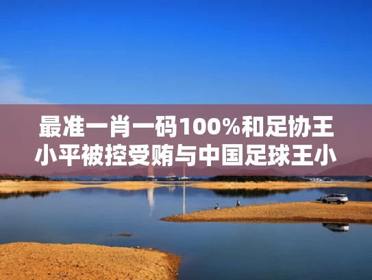 最准一肖一码100%和足协王小平被控受贿与中国足球王小平