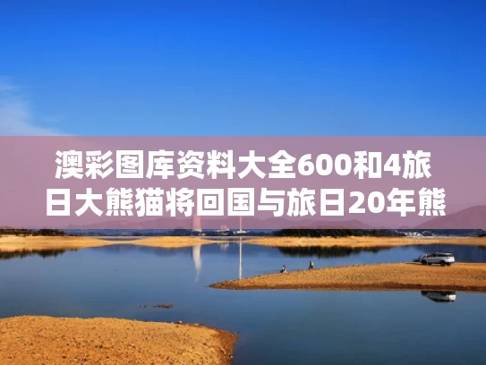 澳彩图库资料大全600	和4旅日大熊猫将回国与旅日20年熊猫将回国 视频