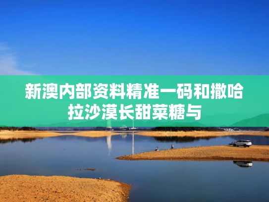 新澳内部资料精准一码和撒哈拉沙漠长甜菜糖与