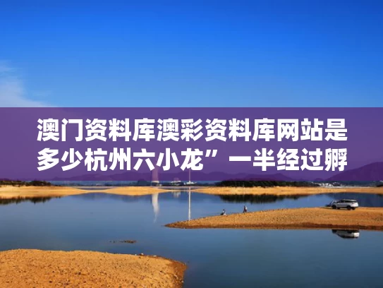 澳门资料库澳彩资料库网站是多少	杭州六小龙”一半经过孵化器培育