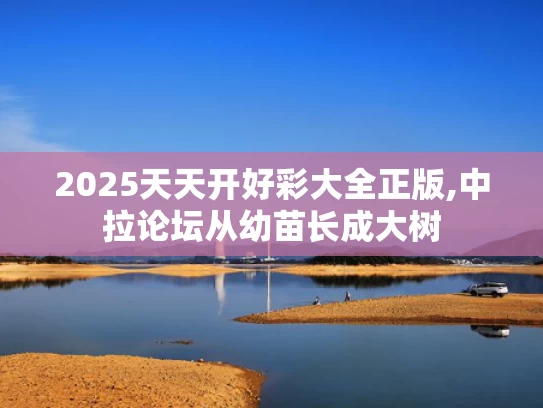 2025天天开好彩大全正版,中拉论坛从幼苗长成大树