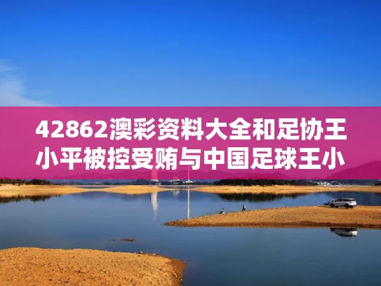42862澳彩资料大全	和足协王小平被控受贿与中国足球王小平