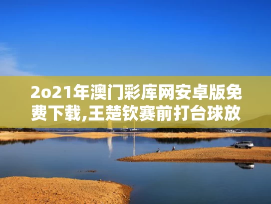 2o21年澳门彩库网安卓版免费下载,王楚钦赛前打台球放松