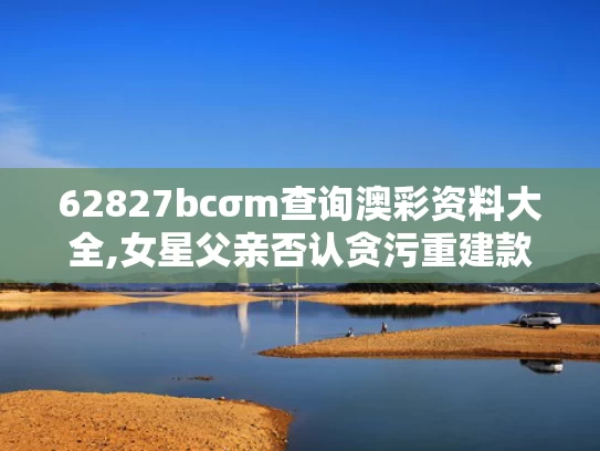 2025年5月17日 第8页