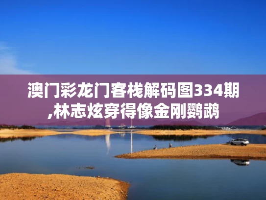澳门彩龙门客栈解码图334期,林志炫穿得像金刚鹦鹉
