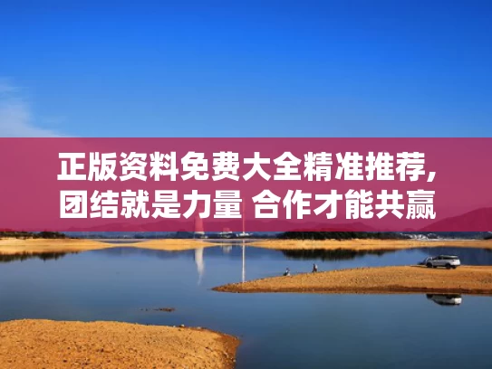 正版资料免费大全精准推荐,团结就是力量 合作才能共赢