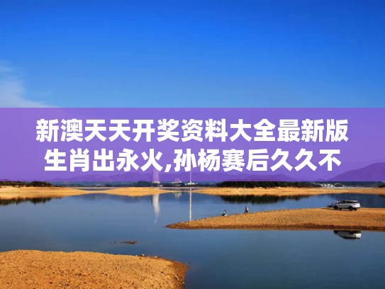 新澳天天开奖资料大全最新版生肖出永火,孙杨赛后久久不愿离去