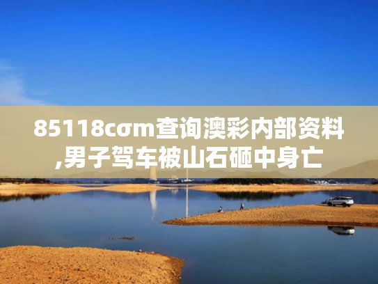 85118cσm查询澳彩内部资料,男子驾车被山石砸中身亡