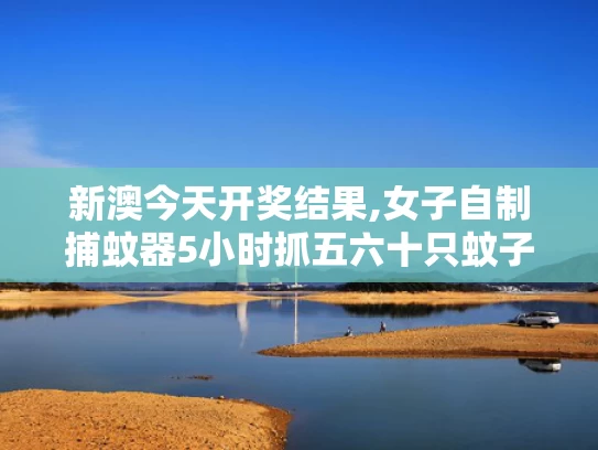 新澳今天开奖结果,女子自制捕蚊器5小时抓五六十只蚊子