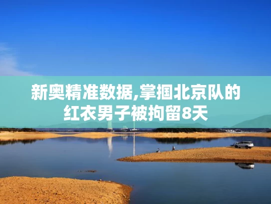 新奥精准数据,掌掴北京队的红衣男子被拘留8天