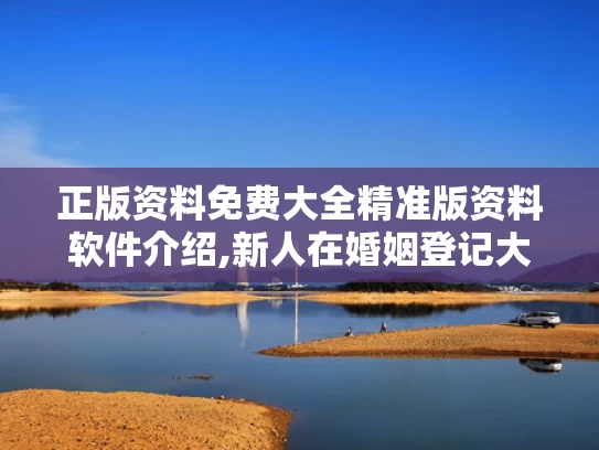 正版资料免费大全精准版资料软件介绍,新人在婚姻登记大厅打架？系摆拍