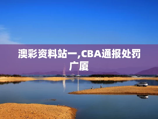 澳彩资料站一,CBA通报处罚广厦