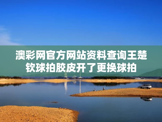 澳彩网官方网站资料查询	王楚钦球拍胶皮开了更换球拍
