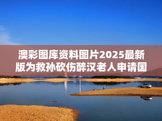 澳彩图库资料图片2025最新版	为救孙砍伤醉汉老人申请国赔128万