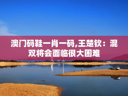 澳门码鞋一肖一码,王楚钦：混双将会面临很大困难