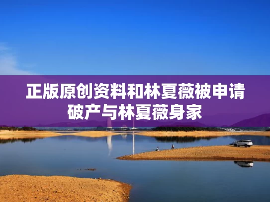 正版原创资料和林夏薇被申请破产与林夏薇身家
