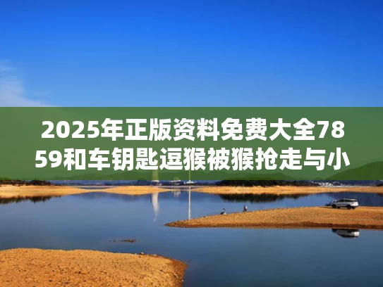 2025年正版资料免费大全7859和车钥匙逗猴被猴抢走与小猴子车钥匙丢了还可以启动吗