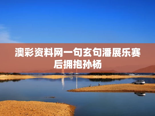 澳彩资料网一句玄句	潘展乐赛后拥抱孙杨