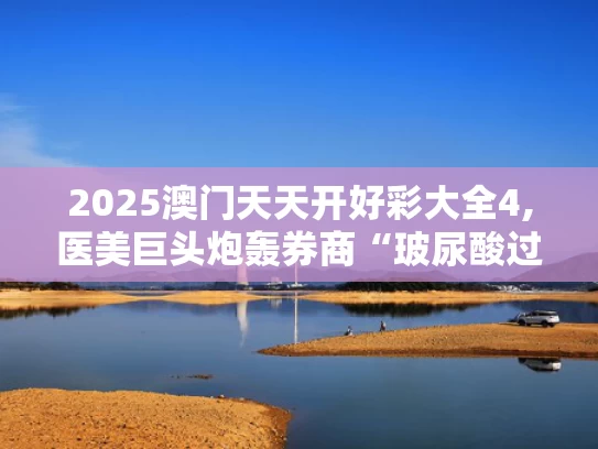 2025澳门天天开好彩大全4,医美巨头炮轰券商“玻尿酸过时”论