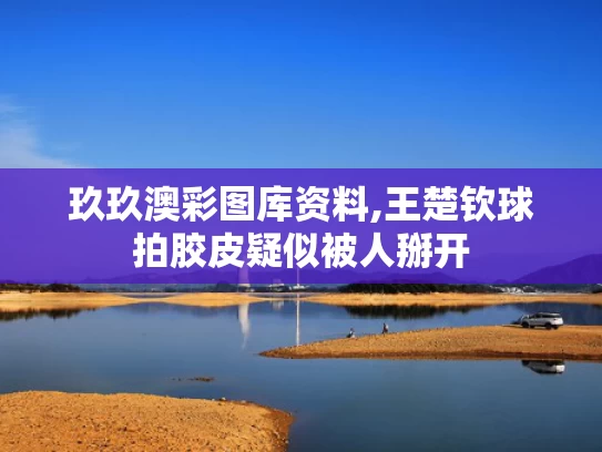 玖玖澳彩图库资料,王楚钦球拍胶皮疑似被人掰开